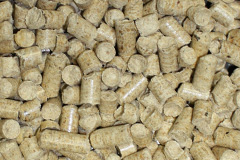 Black Pill biomass boiler costs
