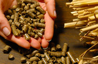 free Black Pill biomass boiler quotes